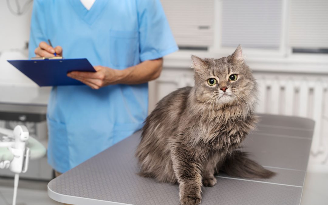 The Importance of Vaccinating Your Pets: Keeping Your Furry Friends Healthy