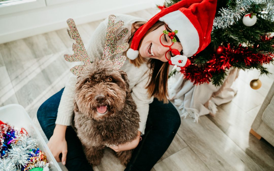 Managing Pet Stress During the Holidays at Heineke Vet