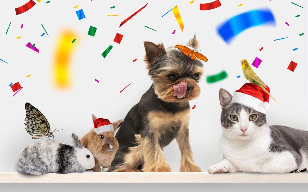 Happy New Year from Heineke Vet blog