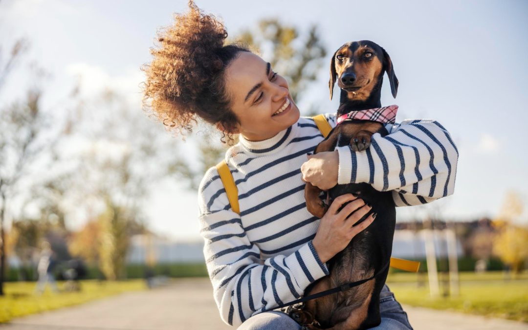 The Power of the Pet/Human Bond Heineke Vet blog