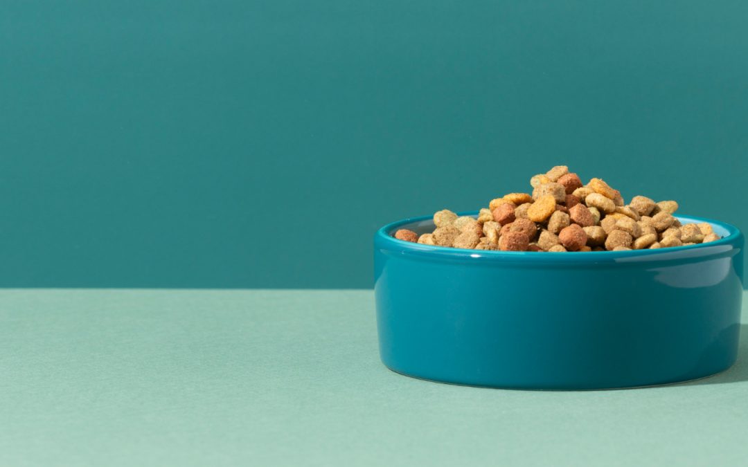 Why Is My Pet Not Eating? Here’s What You Need to Know blog post Heineke Veterinary Hospital