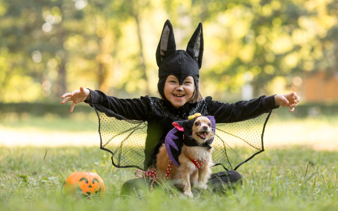 Tricks & Treats: Pet Safety Tips Heineke Vet Hospital