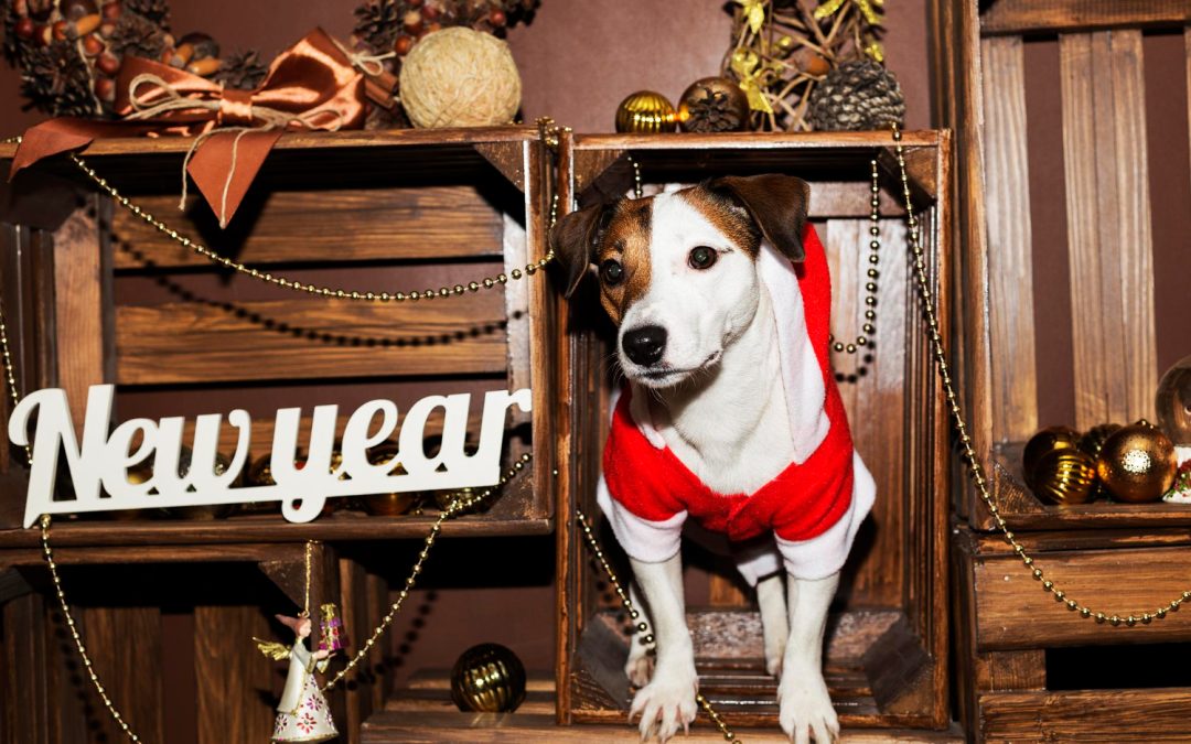 Happy New Year from Heineke Veterinary Hospital Alexandria, KY